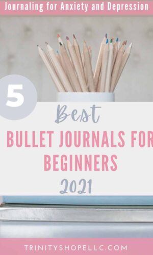 best bullet journals for beginners underneath cup of pencils
